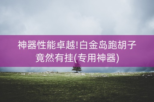 神器性能卓越!白金岛跑胡子竟然有挂(专用神器)