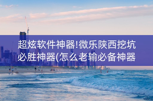超炫软件神器!微乐陕西挖坑必胜神器(怎么老输必备神器)