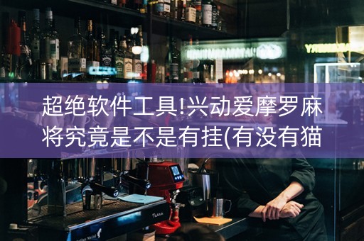 超绝软件工具!兴动爱摩罗麻将究竟是不是有挂(有没有猫腻)
