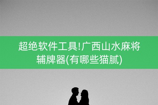 超绝软件工具!广西山水麻将辅牌器(有哪些猫腻)
