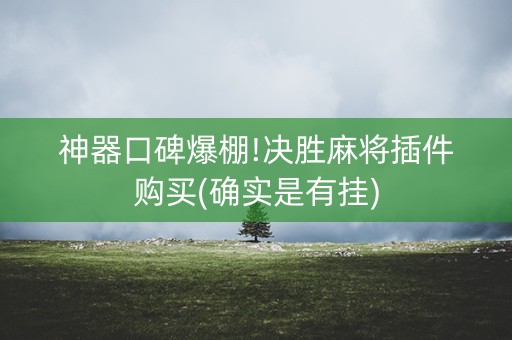 神器口碑爆棚!决胜麻将插件购买(确实是有挂)