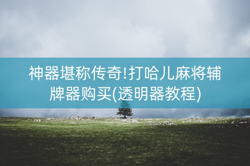 神器堪称传奇!打哈儿麻将辅牌器购买(透明器教程)