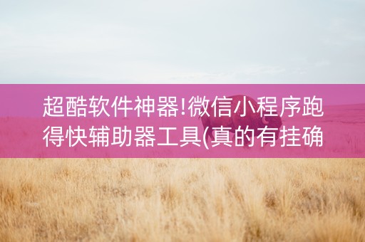 超酷软件神器!微信小程序跑得快辅助器工具(真的有挂确实有挂)