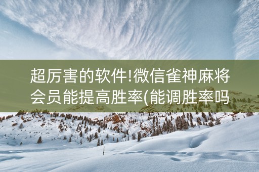 超厉害的软件!微信雀神麻将会员能提高胜率(能调胜率吗)