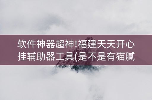软件神器超神!福建天天开心挂辅助器工具(是不是有猫腻)