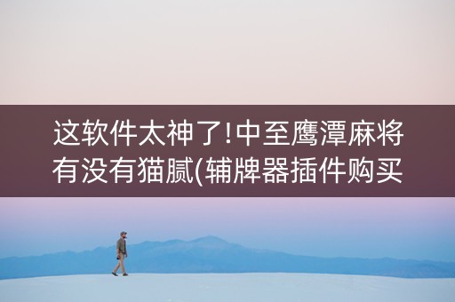 这软件太神了!中至鹰潭麻将有没有猫腻(辅牌器插件购买)