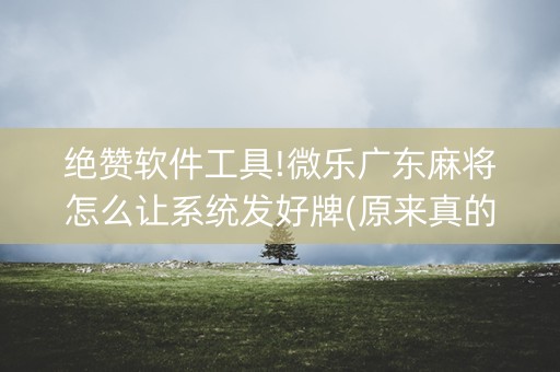 绝赞软件工具!微乐广东麻将怎么让系统发好牌(原来真的有挂)