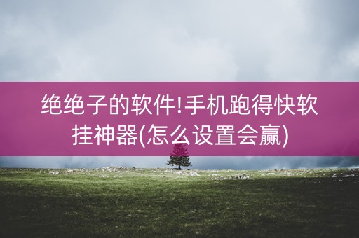 绝绝子的软件!手机跑得快软挂神器(怎么设置会赢)