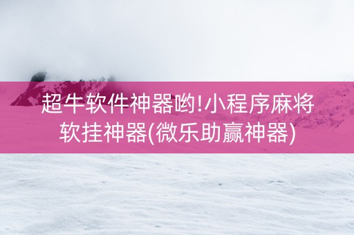 超牛软件神器哟!小程序麻将软挂神器(微乐助赢神器)