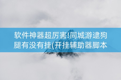 软件神器超厉害!同城游逮狗腿有没有挂(开挂辅助器脚本)