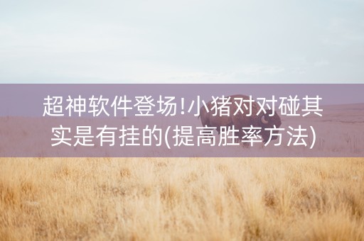 超神软件登场!小猪对对碰其实是有挂的(提高胜率方法)