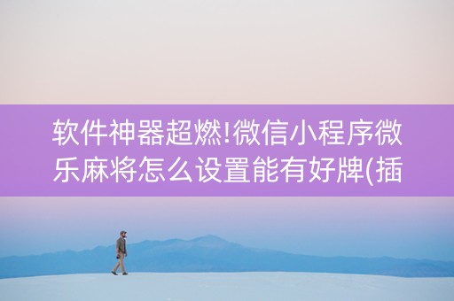 软件神器超燃!微信小程序微乐麻将怎么设置能有好牌(插件购买输赢规律)