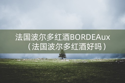 法国波尔多红酒BORDEAux（法国波尔多红酒好吗）
