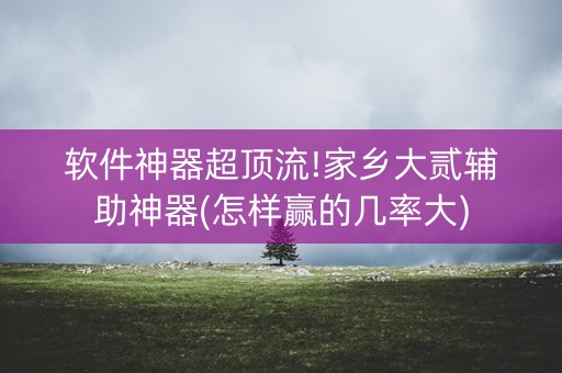 软件神器超顶流!家乡大贰辅助神器(怎样赢的几率大)