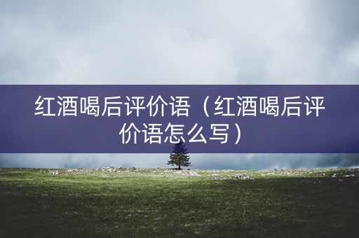 红酒喝后评价语（红酒喝后评价语怎么写）