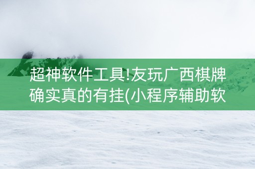 超神软件工具!友玩广西棋牌确实真的有挂(小程序辅助软件)