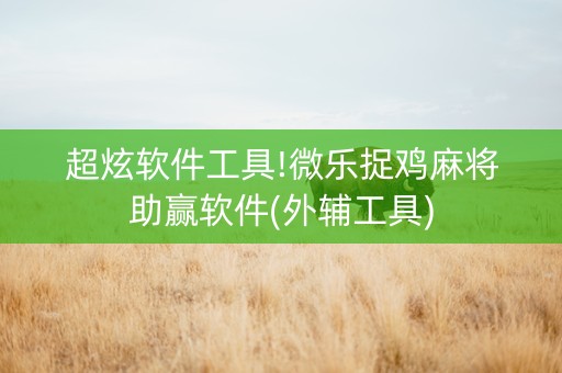 超炫软件工具!微乐捉鸡麻将助赢软件(外辅工具)