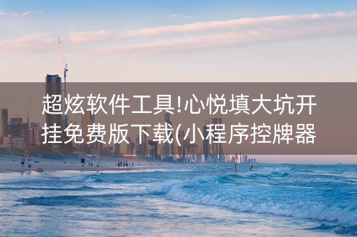 超炫软件工具!心悦填大坑开挂免费版下载(小程序控牌器)