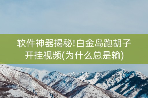 软件神器揭秘!白金岛跑胡子开挂视频(为什么总是输)