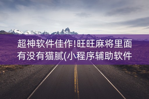 超神软件佳作!旺旺麻将里面有没有猫腻(小程序辅助软件)