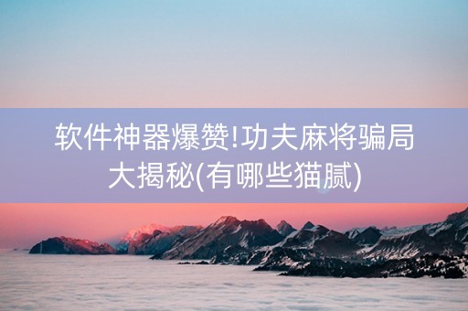 软件神器爆赞!功夫麻将骗局大揭秘(有哪些猫腻)