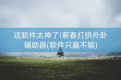 这软件太神了!蕲春打拱外卦辅助器(软件只赢不输)