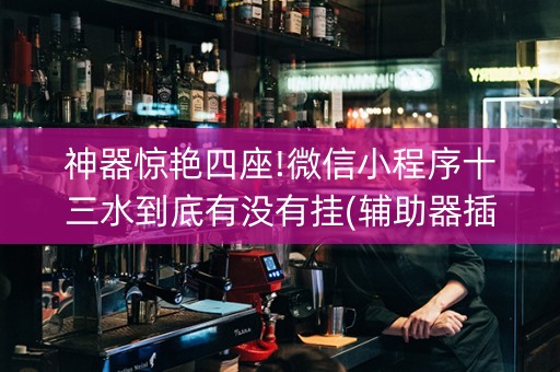 神器惊艳四座!微信小程序十三水到底有没有挂(辅助器插件)