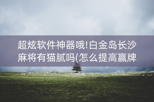 超炫软件神器哦!白金岛长沙麻将有猫腻吗(怎么提高赢牌率)