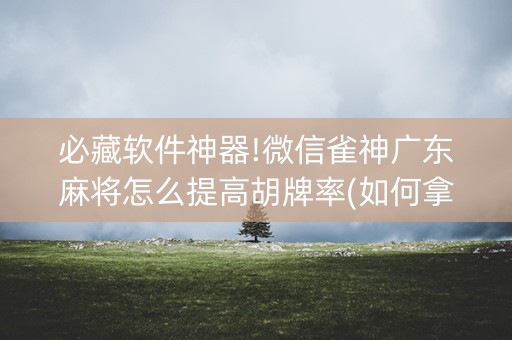 必藏软件神器!微信雀神广东麻将怎么提高胡牌率(如何拿好牌)