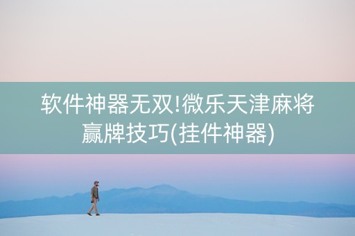软件神器无双!微乐天津麻将赢牌技巧(挂件神器)