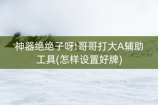 神器绝绝子呀!哥哥打大A辅助工具(怎样设置好牌)