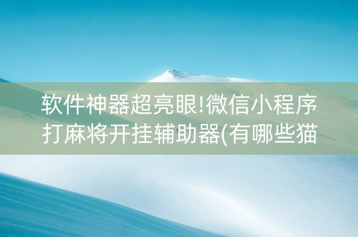 软件神器超亮眼!微信小程序打麻将开挂辅助器(有哪些猫腻)