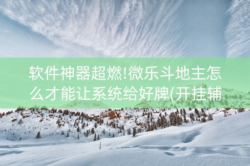 软件神器超燃!微乐斗地主怎么才能让系统给好牌(开挂辅助器插件)