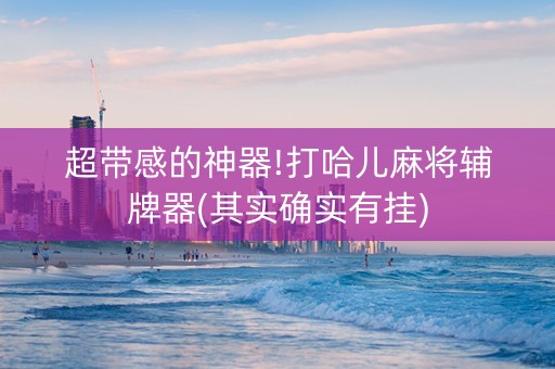 超带感的神器!打哈儿麻将辅牌器(其实确实有挂)