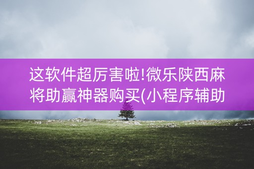 这软件超厉害啦!微乐陕西麻将助赢神器购买(小程序辅助软件)
