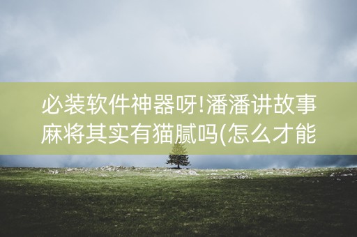 必装软件神器呀!潘潘讲故事麻将其实有猫腻吗(怎么才能调胜率)