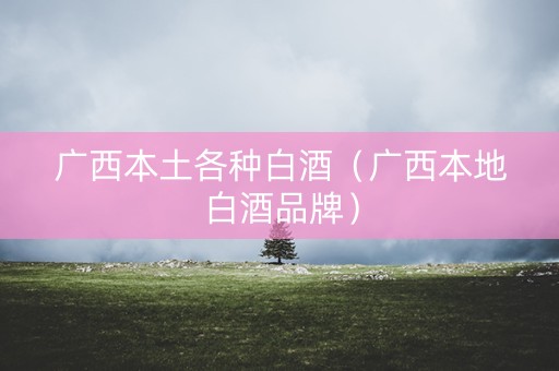 广西本土各种白酒（广西本地白酒品牌）