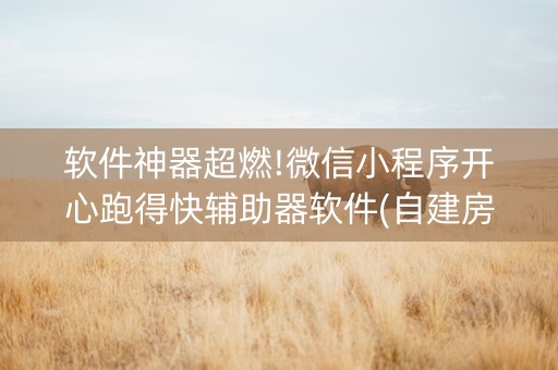 软件神器超燃!微信小程序开心跑得快辅助器软件(自建房怎么拿好牌)