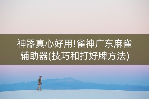 神器真心好用!雀神广东麻雀辅助器(技巧和打好牌方法)