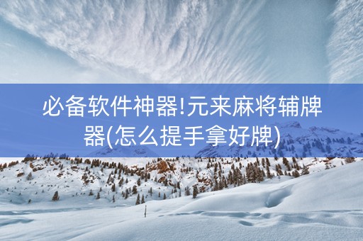 必备软件神器!元来麻将辅牌器(怎么提手拿好牌)