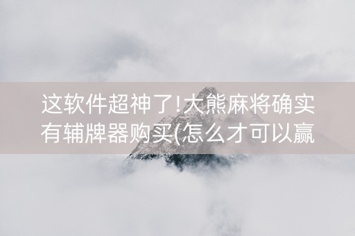 这软件超神了!大熊麻将确实有辅牌器购买(怎么才可以赢)