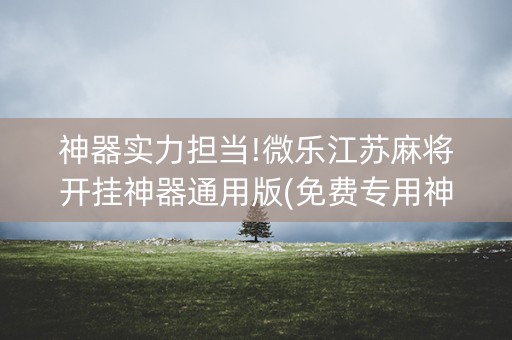 神器实力担当!微乐江苏麻将开挂神器通用版(免费专用神器)