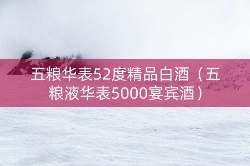 五粮华表52度精品白酒（五粮液华表5000宴宾酒）