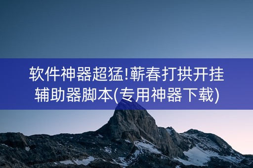 软件神器超猛!蕲春打拱开挂辅助器脚本(专用神器下载)