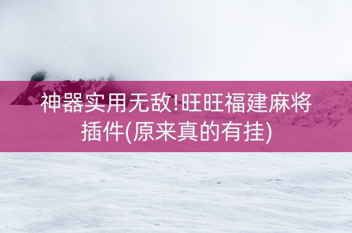 神器实用无敌!旺旺福建麻将插件(原来真的有挂)