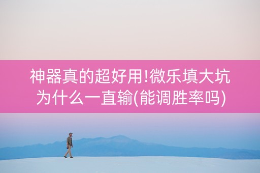 神器真的超好用!微乐填大坑为什么一直输(能调胜率吗)