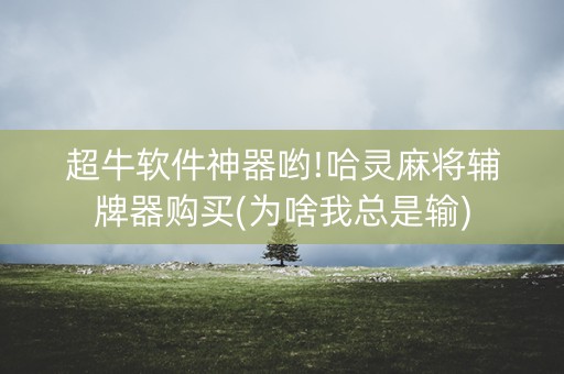 超牛软件神器哟!哈灵麻将辅牌器购买(为啥我总是输)