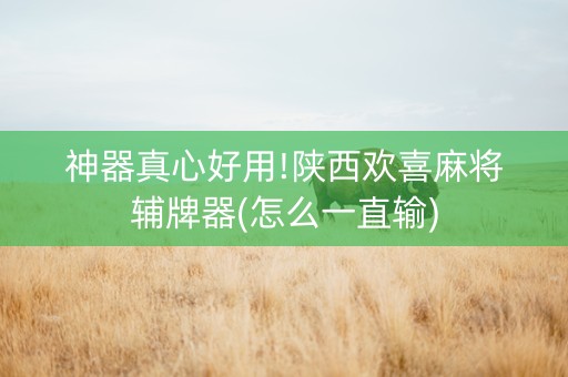 神器真心好用!陕西欢喜麻将辅牌器(怎么一直输)