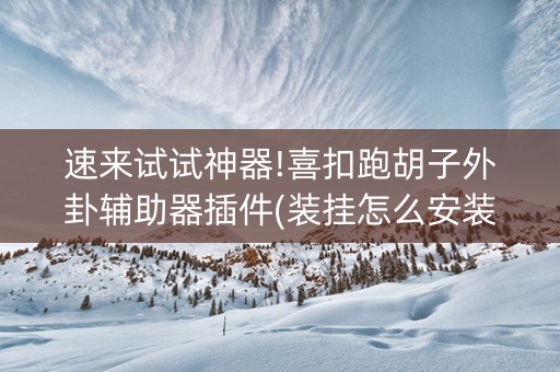 速来试试神器!喜扣跑胡子外卦辅助器插件(装挂怎么安装)