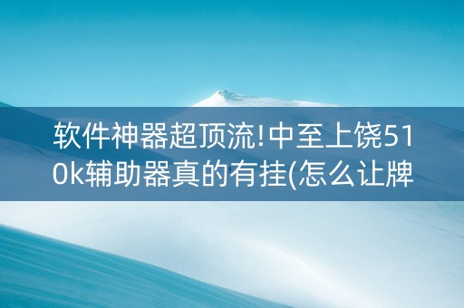 软件神器超顶流!中至上饶510k辅助器真的有挂(怎么让牌变好)